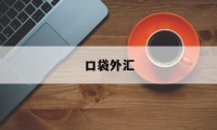 口袋外汇(口袋外汇app官网下载)